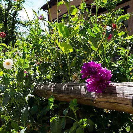 Paraiso De Gredos Hotel