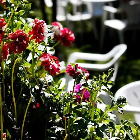 Paraiso De Gredos Hotell *