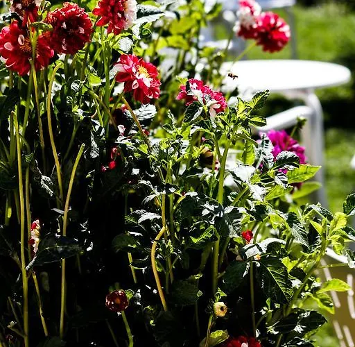 Rural El Paraiso De Gredos *