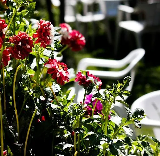 Rural El Paraiso De Gredos Hotel *